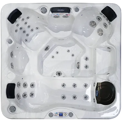 Avalon EC-849L hot tubs for sale in Houston