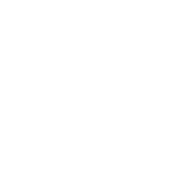 ce logo Houston